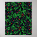 Suche nach himbeere poster Pflanze