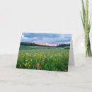 Suche nach wiese karten Sonnenaufgang