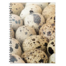 Suche nach diäten kleine notizbücher Essen