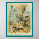 Suche nach meerblick poster Ozean