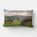 Suche nach kalb kissen Rinder