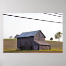 Suche nach alter baum poster Natur