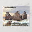 Suche nach bruder postkarten Jede person