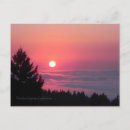 Suche nach rosa baum postkarten Bäume