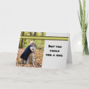 Suche nach wette karten Hund