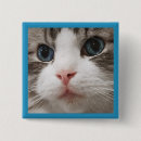 Suche nach miezekatze buttons Für alle