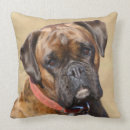 Suche nach headshot kissen Hunde fotograf