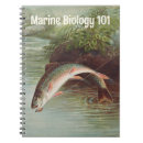 Suche nach bachforelle Angler