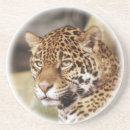 Suche nach jaguar untersetzer Tier