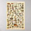 Suche nach vintage häuser poster Wand