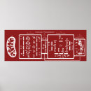 Suche nach zellulär poster Biologie