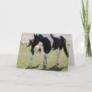 Suche nach filly postkarten Pony