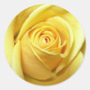Suche nach rosenaufkleber Für alle