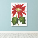 Suche nach vintage botanik leinwandbilder Blumen