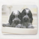 Suche nach wohnzimmer mousepads Hund
