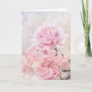 Suche nach nelken karten Blume