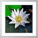 Suche nach lotus blume poster Meditation