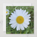 Suche nach tageszeit Blume