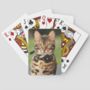 Suche nach bengalisch spielkarten Kätzchen