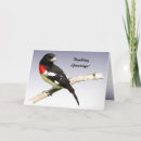 Suche nach gezüchtet karten Vogelvogel