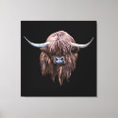 Suche nach schottland leinwandbilder Kuh