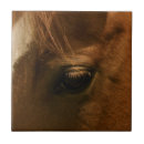 Suche nach pferde fliesen Jede person