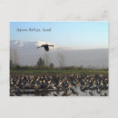 Suche nach wandernd postkarten Vögel