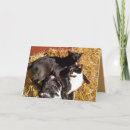 Suche nach zwei katzen postkarten Schwarze katze