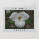 Suche nach ontario kanada Natur