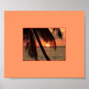 Suche nach pracht poster Baum