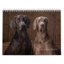 Suche nach jagd kalender Welpen