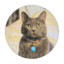 Suche nach russisch schneidebrettchen Katze