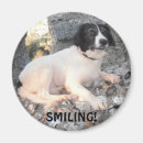 Suche nach schwarzer hund magnete Spaniel