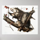 Suche nach opossum poster Tiere