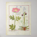 Suche nach robinet poster C12th
