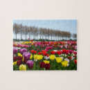 Suche nach tulpen puzzle Rosa