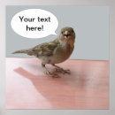 Suche nach spatzen poster Niedlich