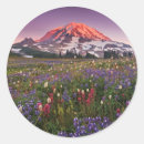 Suche nach bunte blumen aufkleber Natur