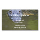 Suche nach sumpf visitenkarten Alligator