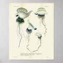 Suche nach blaues meer poster Vintag