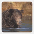 Suche nach steve aufkleber Alaska