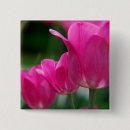 Suche nach tulpen buttons Natur