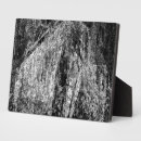 Suche nach bäume auf fotoplatten Blätter