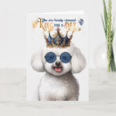 Suche nach bichon karten Haustiere