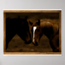 Suche nach pferdefreunde poster Für alle