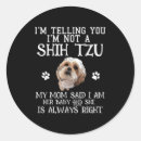 Suche nach shihtzu aufkleber Haustier