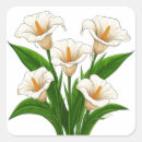 Suche nach lilien aufkleber Blatt