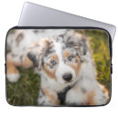 Suche nach animal laptop schutzhüllen Dog