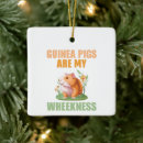 Suche nach meerschweinchen kugel ornamente Guinea