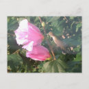 Suche nach die rosen postkarten Vogel